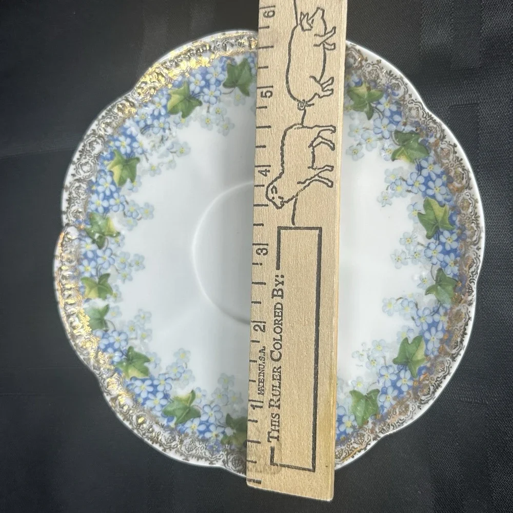 Forget-Me-Not Tea cup Saucer Translucent Fine Porcelain Gold Filigree Ivy ANTQ